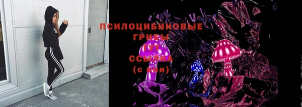 стаф Салават